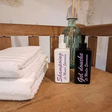 Le Moulin Etourneau - 2 Avec Piscines Et Feriehus Champagnac (Charente-Maritime)