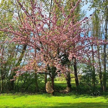 Feriehus Le Moulin Etourneau - 2 Avec Piscines Et Champagnac (Charente-Maritime)