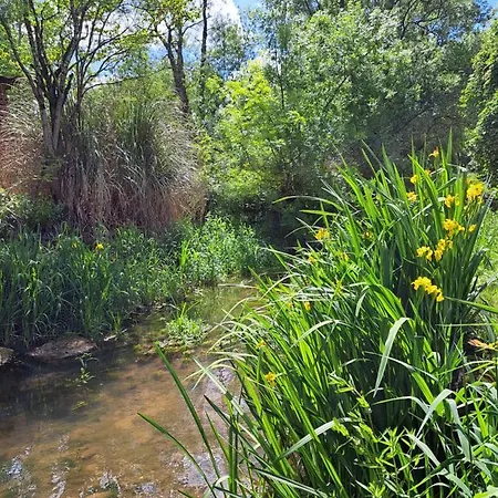 Le Moulin Etourneau - 3 Avec 2 Piscines * Champagnac (Charente-Maritime)