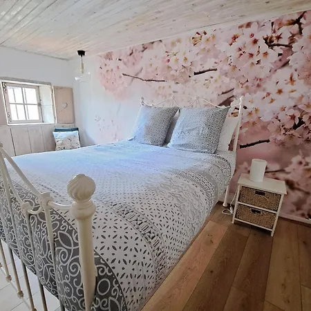 Feriehus Le Moulin Etourneau - 2 Avec Piscines Et *